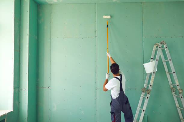 Mold Odor Removal Services in Macon, GA