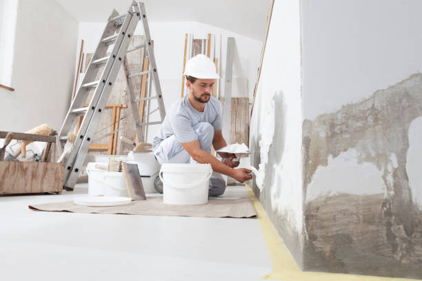 Best Black Mold Removal  in Macon, GA