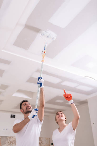  Macon, GA Mold Removal Pros