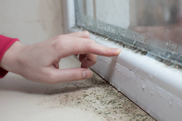 Professional Mold Removal in Macon, GA