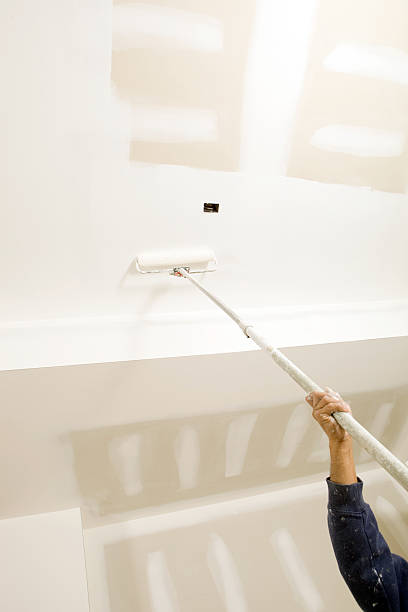 Biohazard Mold Removal in Macon, GA