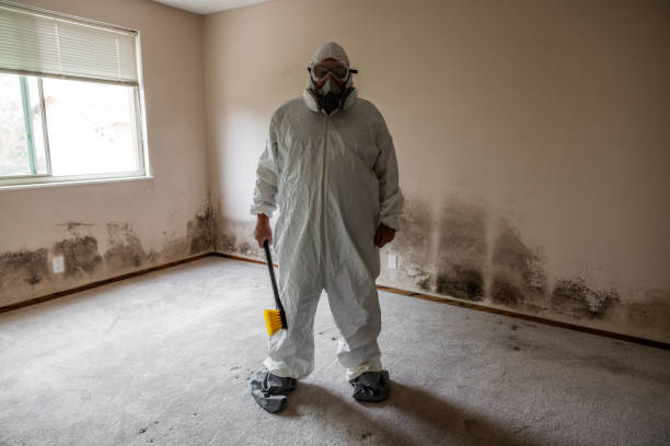 Best Mold Damage Restoration  in Macon, GA