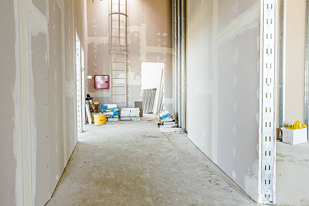 Best Airborne Mold Testing  in Macon, GA
