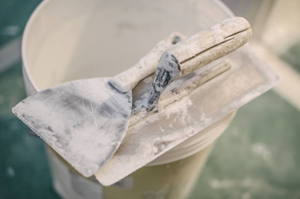 Best Air Quality Testing for Mold Spores  in Macon, GA