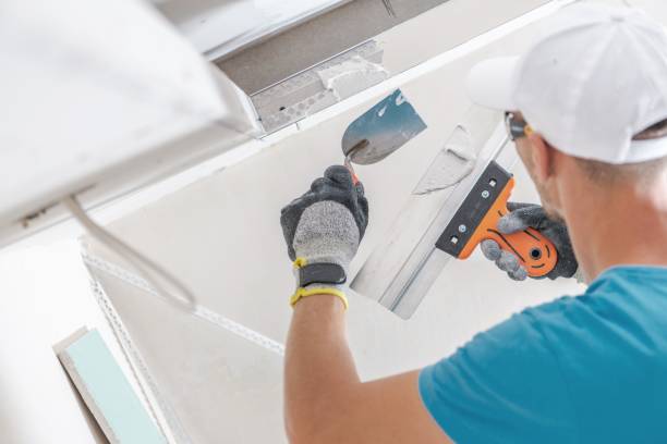 Best Mold Odor Removal Services  in Macon, GA
